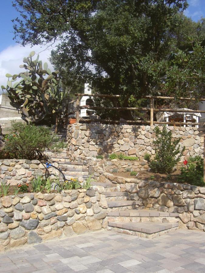 Ulivo Διαμέρισμα Quartu SantʼElena Εξωτερικό φωτογραφία