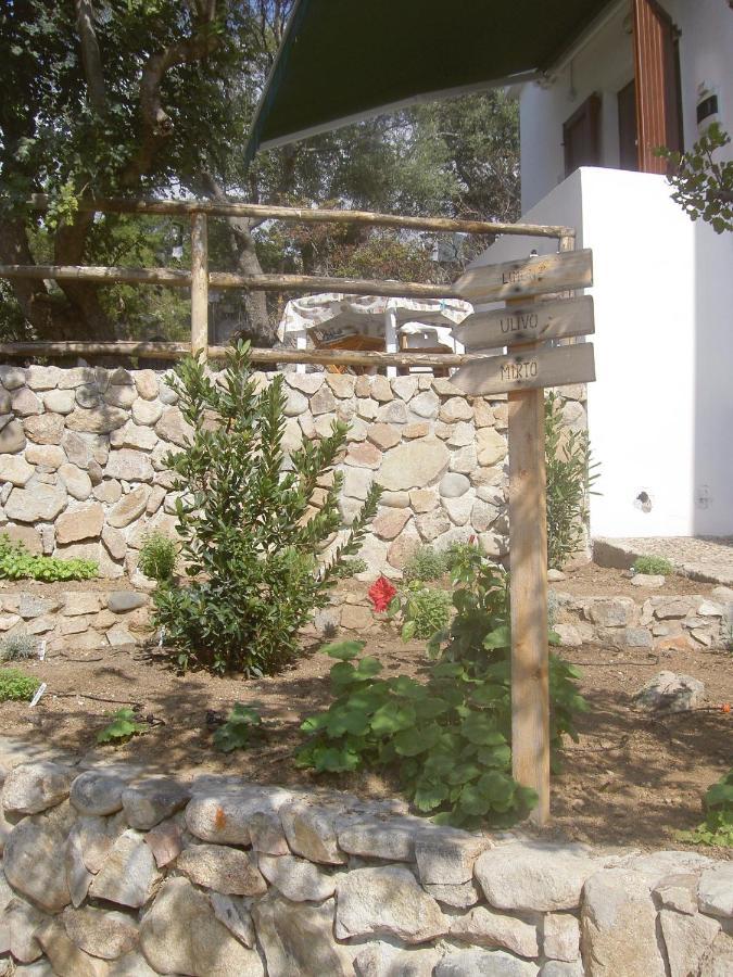 Ulivo Διαμέρισμα Quartu SantʼElena Εξωτερικό φωτογραφία