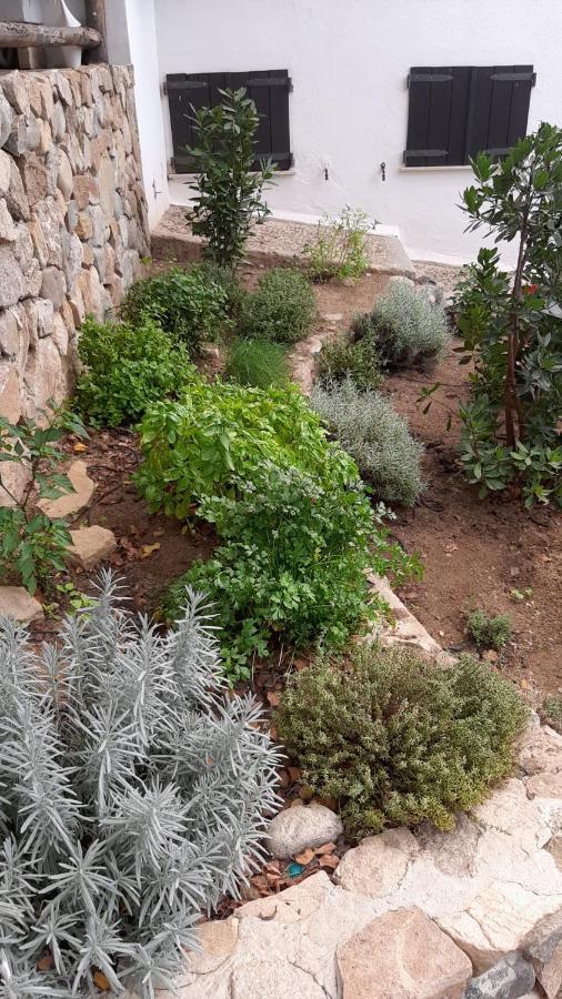 Ulivo Διαμέρισμα Quartu SantʼElena Εξωτερικό φωτογραφία