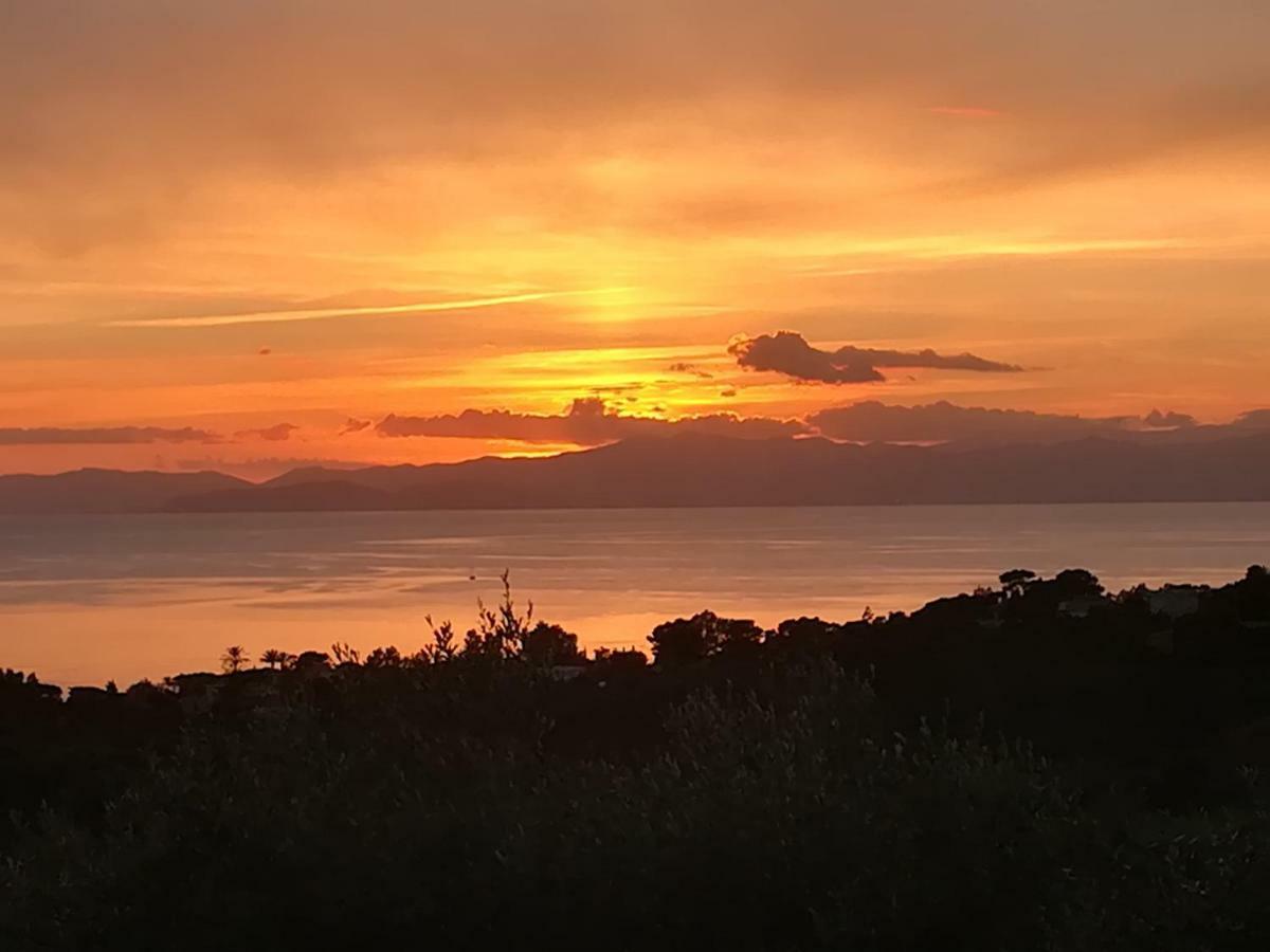 Ulivo Διαμέρισμα Quartu SantʼElena Εξωτερικό φωτογραφία